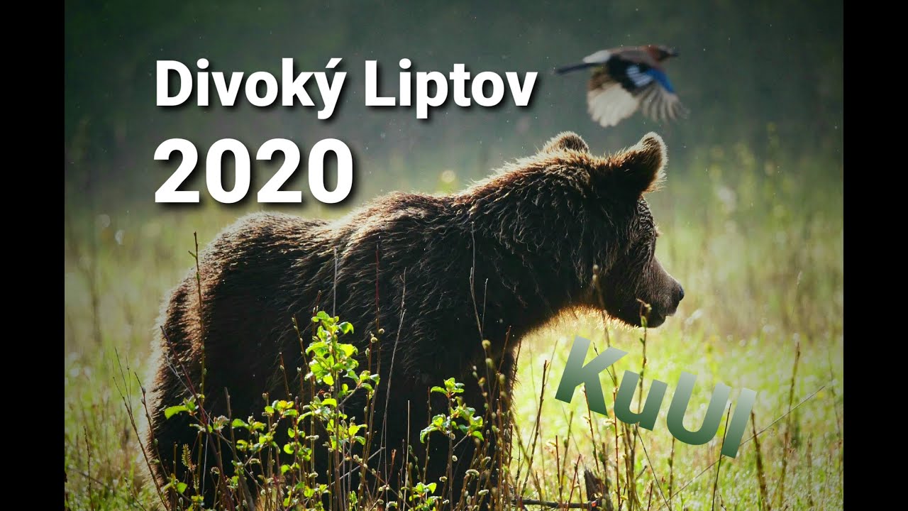 Divoký Liptov 2020