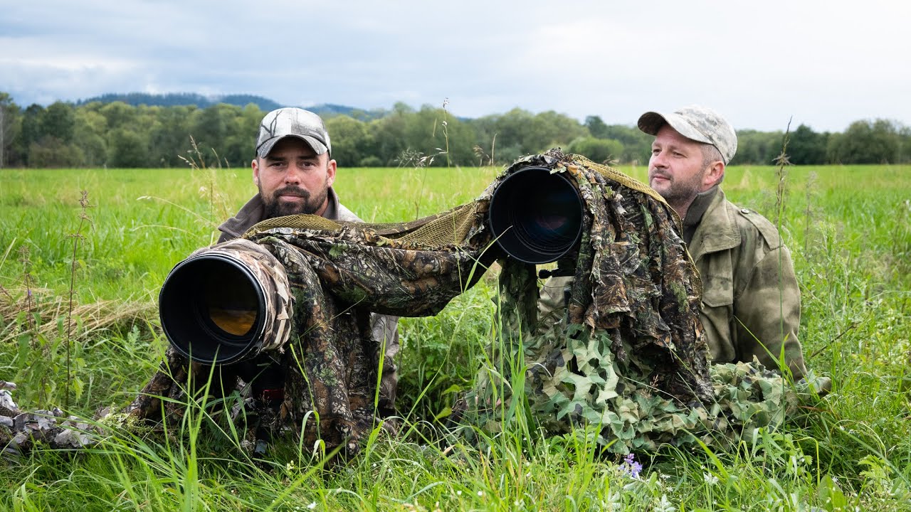 Vábanie srnca,,Roe,,Vábničky