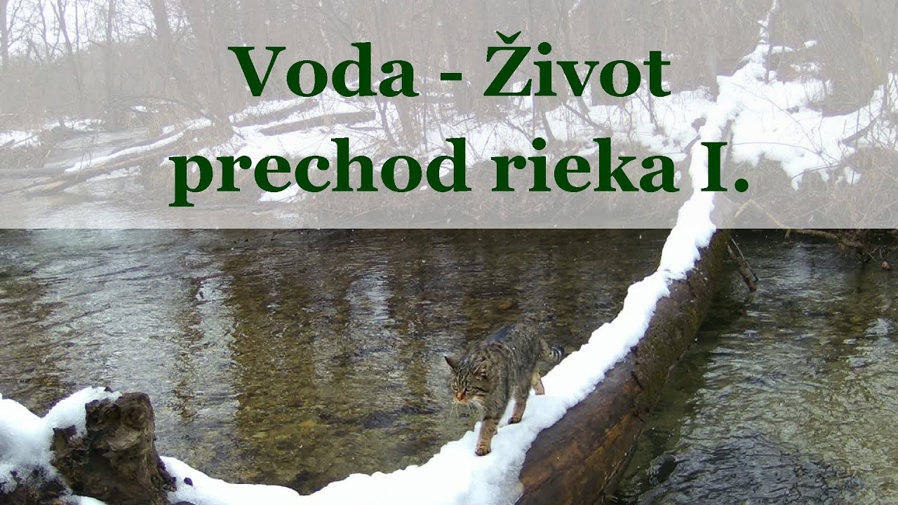 Voda - Život - prechod rieka I.