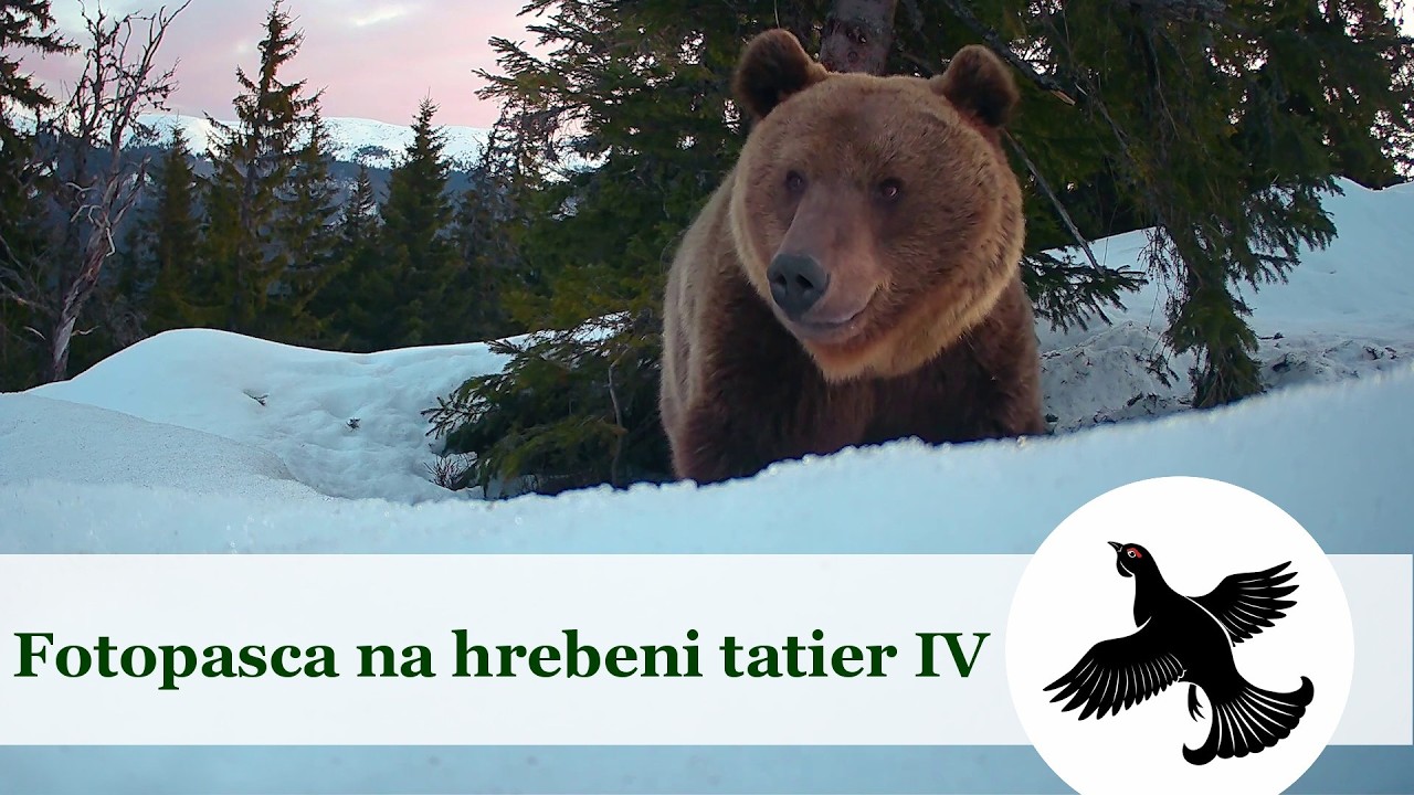 Fotopasca na hrebeni tatier IV.