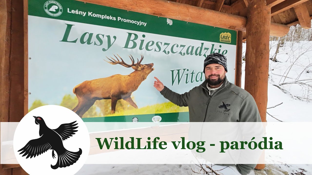 WildLife vlog - paródia