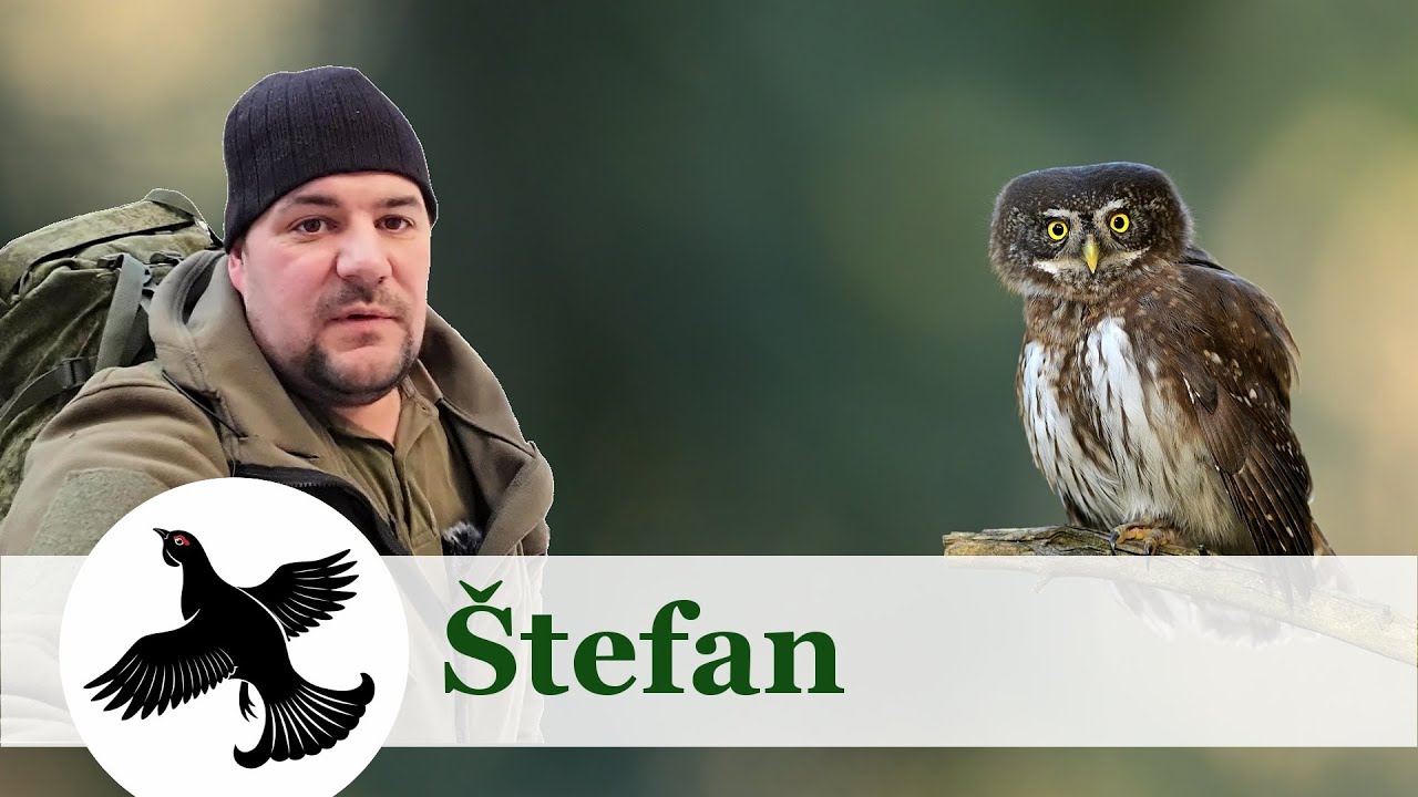 Štefan | Vlog #7 | Liehový varič | Wildlife