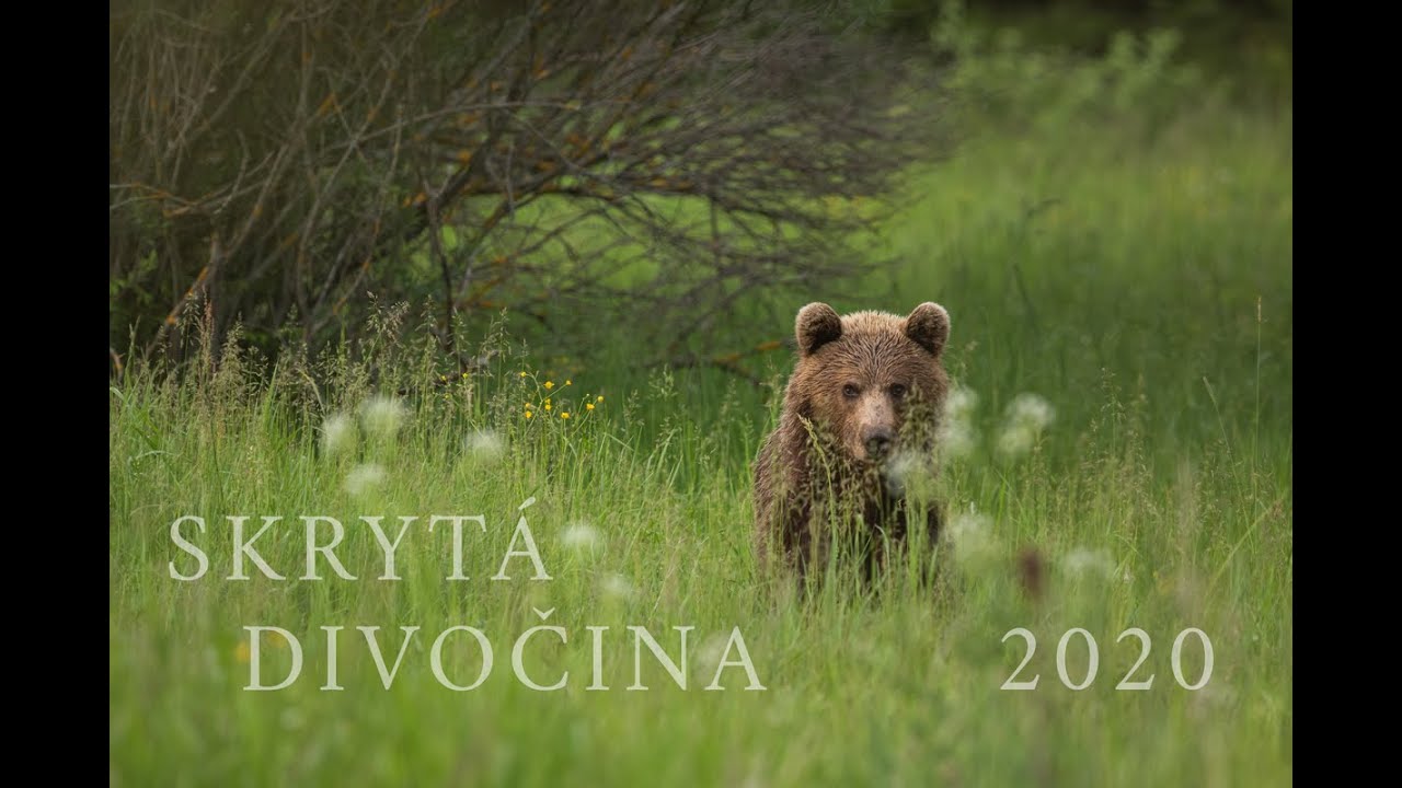SKRYTÁ DIVOČINA 2020