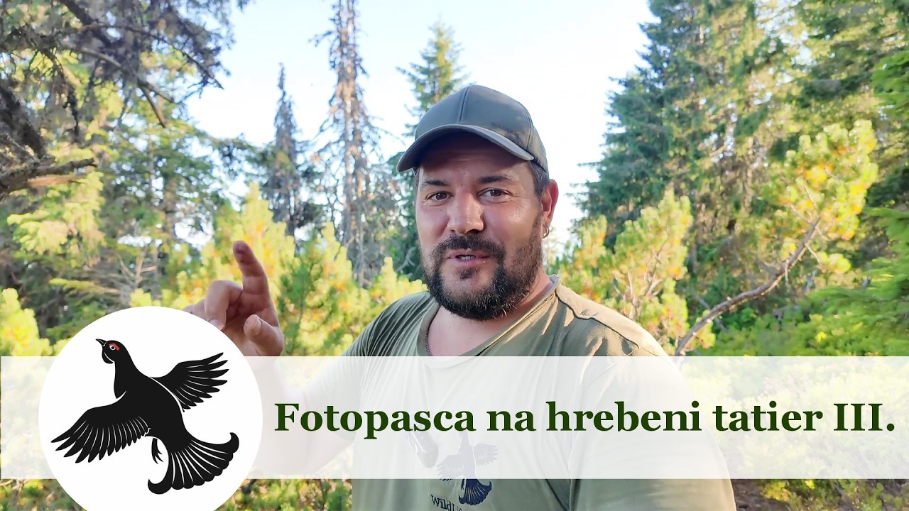 Fotopasca na hrebeni Tatier III. | Vlog #21 | WildLife
