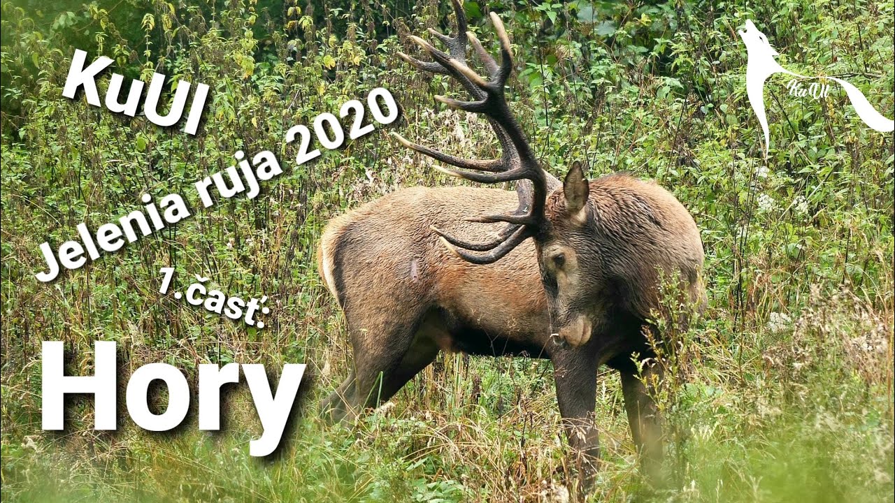 Jelenia ruja 2020 - 1.časť: Hory