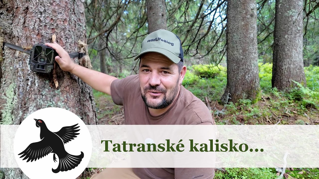 Tatranské kalisko - fotopasca ...