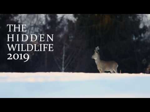 SKRYTÁ DIVOČINA 2019