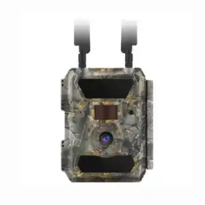 WildLifeBlog Pigeon 4G PRO