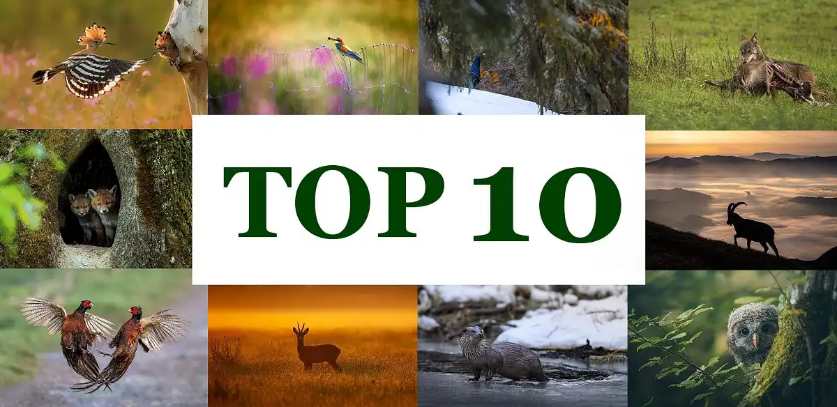 Fotosúťaž – 10 TOP fotiek