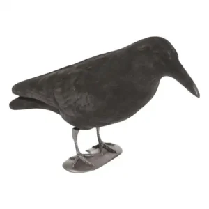 Balabán VRANA s nohami