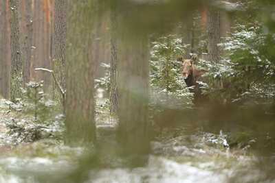 DSC 5034 00001 3 2048