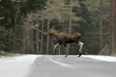 DSC 5013 00001 3 2048