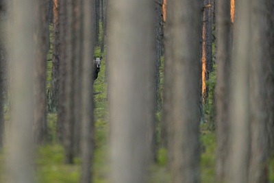 DSC 6121 00001 3 2048