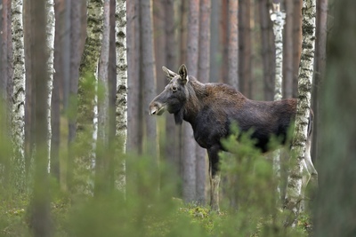 DSC 6180 00001 3 2048