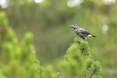 DSC 8844 00001 3 1600