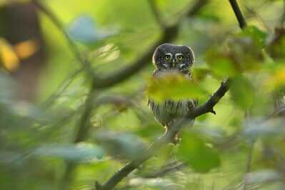 DSC 4569 00001 3 1800