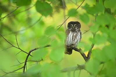 DSC 4655 00001 3 1800