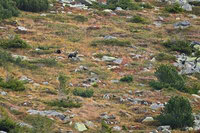 DSC 4494 00001 2 1800