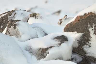 DSC 6773 00001 3 1600