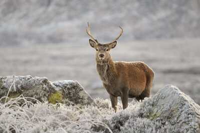 DSC 6654 00001 01 3 1600