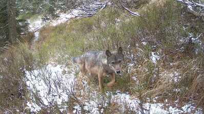 IMG 20251119 121428 copy 1558x876