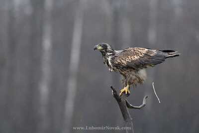 DSC 7188 00001 3 1600