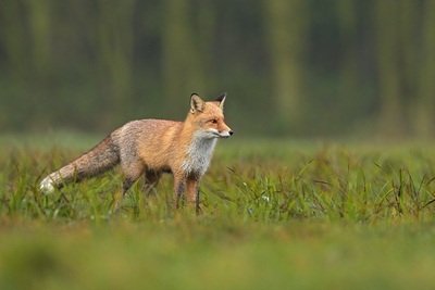 DSC 6484 00001 3 1600