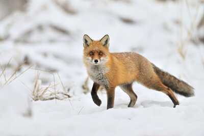 DSC 8934 00001 3 2048