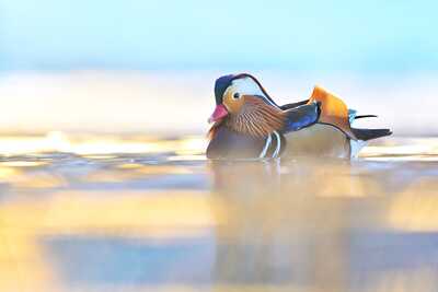 DSC 8713 00001 4 2048