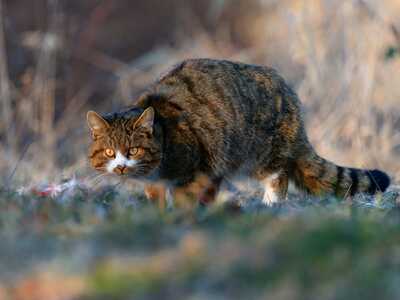 DSC00694 DxO zon zmensene