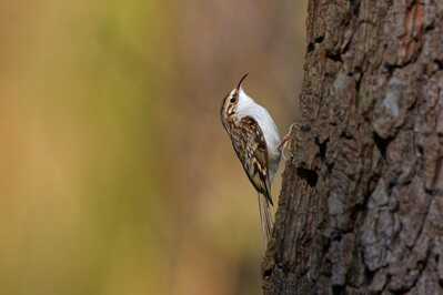 DSC01732 DxO zon zmensene DSC01732 DxO zon zmensene