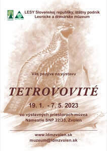 vystava pozvanka tetrovy