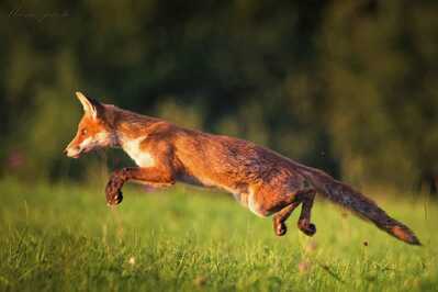 inbound2708627509810530673