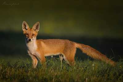 inbound8277898675988872295