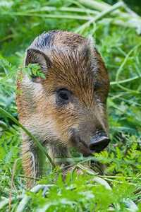 inbound3991724539664424218