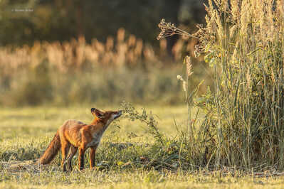 untitled shoot 001 3