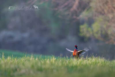 A4C55965 AE86 4992 8FEC ED387F1495B5 A4C55965 AE86 4992 8FEC ED387F1495B5