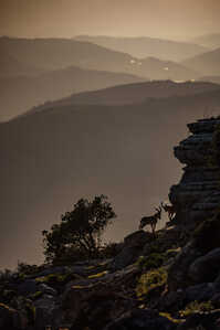 145A0776 DeNoiseAI standard