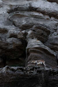 145A0627 2 DeNoiseAI 2 2