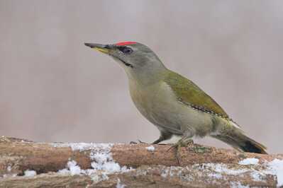 DSC 1700 00001 2 2048